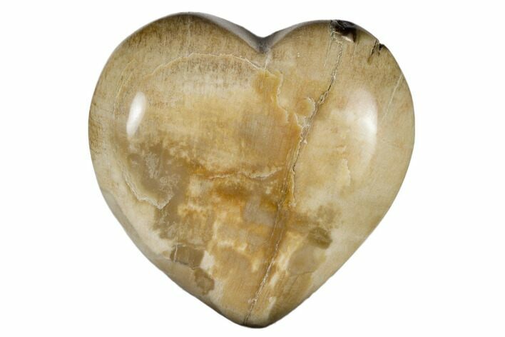 Polished, Triassic Petrified Wood Heart - Madagascar #115526